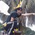 :iconthesolidmidget1993: