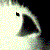 :iconthesoundandthefury:
