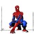:iconthespideyninjagirl: