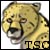 :iconthespottedcat: