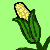 :iconthestalkofcorn: