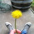 :iconthestarstwinkleon: