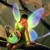 :iconthestralflight:
