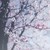 :iconthesunalwaysshines: