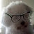 :iconthesundog:
