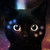 :iconthesupershadowcat: