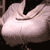 :iconthesweaterpupbreeder: