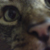 :iconthesweetpsychopath: