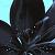 :iconthethirdflowerisblue: