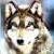 :iconthetoyswealllove: