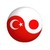 :iconthetrayler: