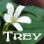 :iconthetreyzor: