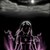 :iconthetruedarkflame777: