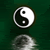:iconthetrueyinandyang: