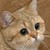 :iconthetruthfultree: