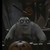 :icontheturtlerabbut: