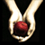 TheTwilightSeries :iconthetwilightseries: