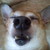 :iconthetwin15: