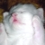 :icontheugly90: