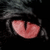:iconTheultimateclub: