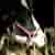 :icontheunfocusedlove: