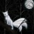 :icontheunique-bluerose: