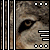 :icontheunusualfirefox: