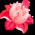 :iconthevampire-angelique: