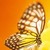 :iconthewinglessbutterfly:
