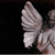 thewingsarewide :iconthewingsarewide: