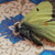 :iconthewintersparrow:
