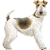 :iconthewirefoxterrier: