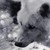 :iconthewolfsoldier: