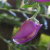 :iconthey-are-all-taken: