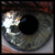 :icontheyru: