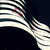 :icontheysaythis: