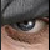 :iconthezel: