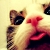 :iconthezombiedog: