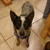 :iconthiefxtreasurehunter:
