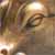 :iconthierry-fauvet: