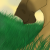 :iconthinduil: