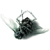 :iconthinking-cursive: