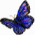 :iconthinking4eternity: