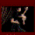 :iconthippi: