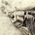 :iconthis-blue-moon: