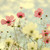 :iconthis-wallflower: