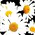 :iconthisemptyblissx3: