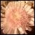 :iconthisenchantednight: