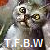 :iconThisFireBurnsWithin: