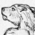:iconthisfox: